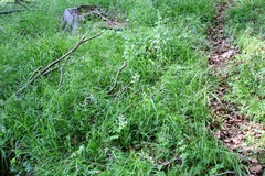 Killikus&reg; Fotographie